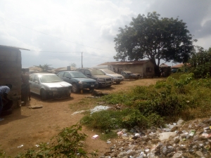 Image 1 Title