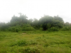 Four And Half Plot Of Land In A Very Good Environment 5 Plots of Land for Sale Ibadan Oyo Vetra  Property