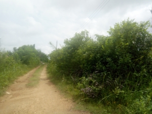 Image 1 Title