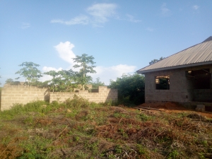 Image 1 Title