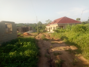 Image 1 Title