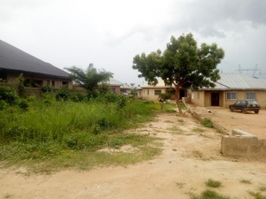 Good Full Plot Of Land In A Nice Area 1 Plot of Land for Sale Ibadan Oyo Vetra  Property