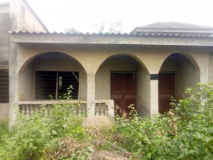 Image 1 Title