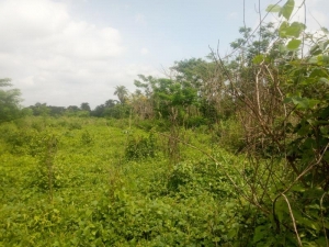 Image 1 Title