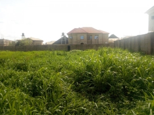 Image 1 Title