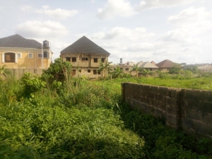 Image 1 Title