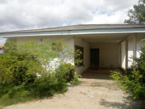 Image 1 Title