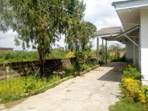 Image 1 Title