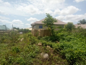 Image 1 Title