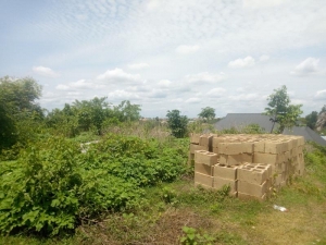 Image 1 Title