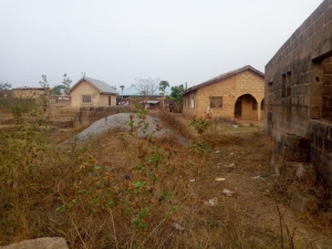 Image 1 Title