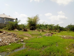 Image 1 Title