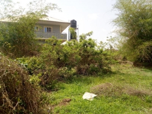 Image 1 Title