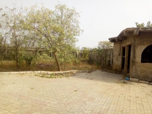 Image 1 Title