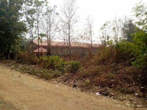 4 Genuine Plots Of Land Near The Road 4 Plots of Land for Sale Ibadan Oyo Vetra  Property