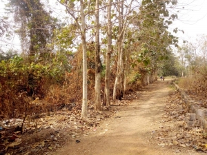 Image 1 Title