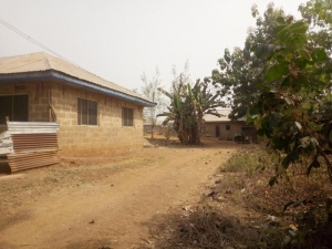Image 1 Title