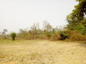 Image 1 Title