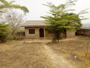 Image 1 Title
