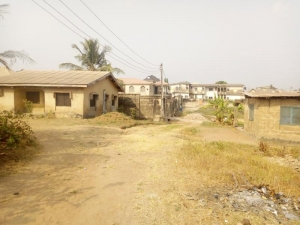 Image 1 Title