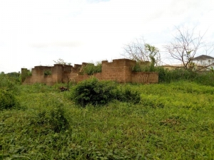 Image 1 Title