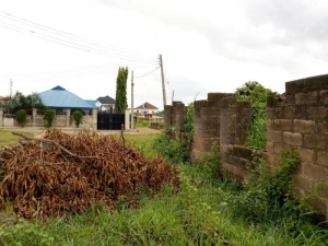 Image 1 Title