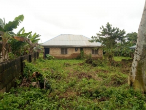 Genuine And Good Half Plot Of Land 1 Plot of Land for Sale Ibadan Oyo Vetra  Property
