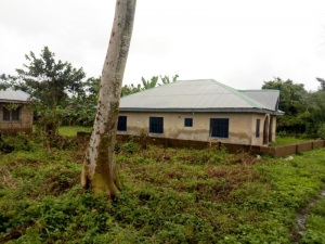 Image 1 Title