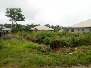 Image 1 Title