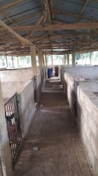 Strategic Pig Farm On 2 Acres 2 Acres of Land for Sale Ibadan Oyo Vetra  Property