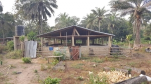 Image 1 Title