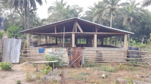 Image 1 Title