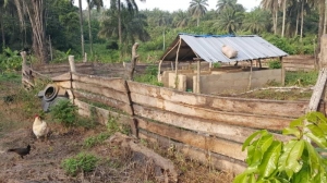 Image 1 Title
