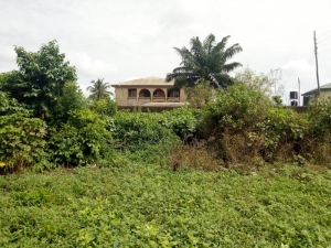 Image 1 Title