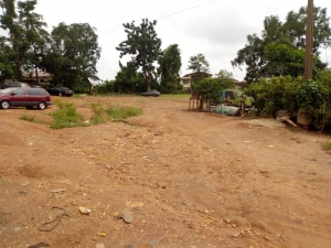 Image 1 Title