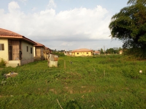 Image 1 Title