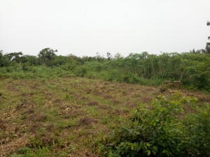 Image 1 Title
