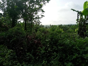 Image 1 Title