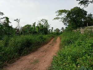 Image 1 Title