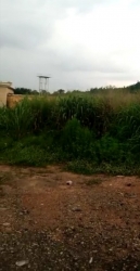 Land For Sale In Ogbaku Owerri  Land for Sale Owerri Imo Vetra  Property