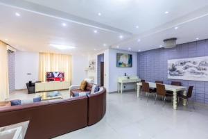 Luxurious 3 Bedroom In Ikoyi With Executive Facilities 3 bedroom Self Contain for Rent Ikoyi Lagos Vetra  Property