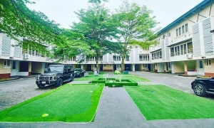 Image 1 Title