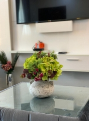 Image 1 Title