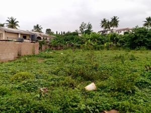 1000 Square Meters Bare Land For Residential Use  1,000 Meter Square of Land for Sale Ibadan Oyo Vetra  Property