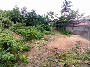 Image 1 Title