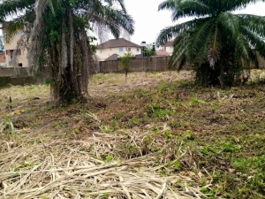Image 1 Title