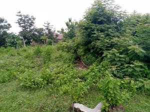 Two Plots Of Land With Corner Piece  2 Plots of Land for Sale Ede North Osun Vetra  Property