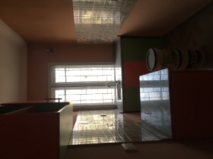 Image 1 Title