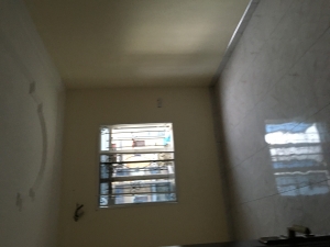 Image 1 Title