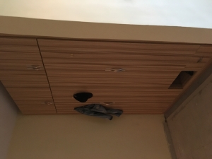 Image 1 Title